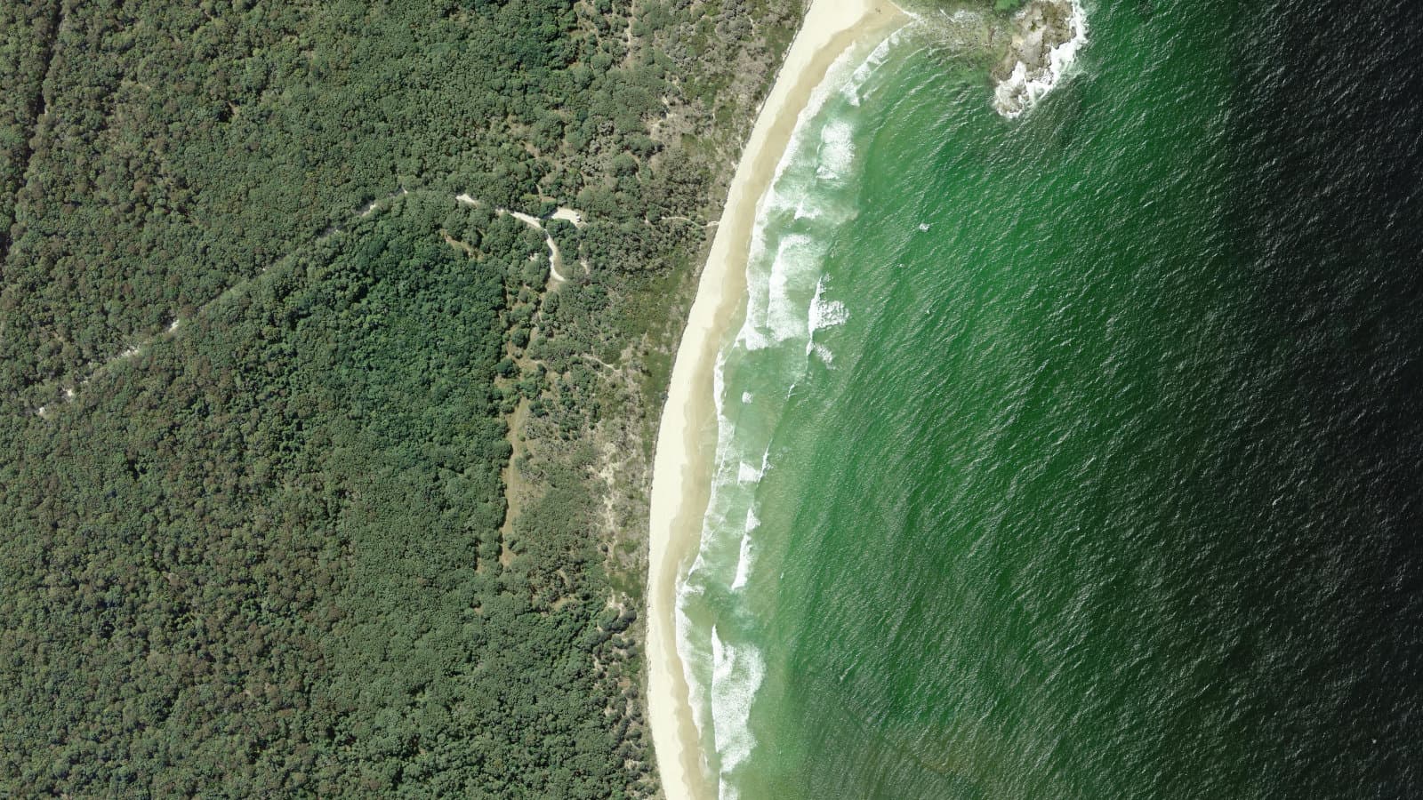 Bluff Beach, Northern Rivers