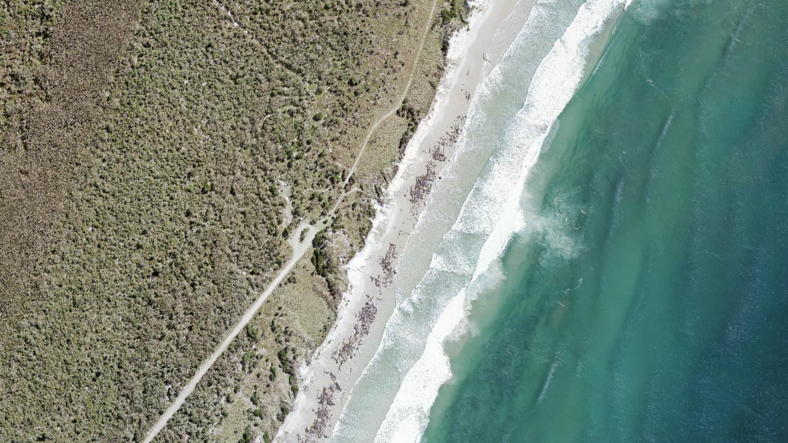 Broadwater Beach, Northern Rivers