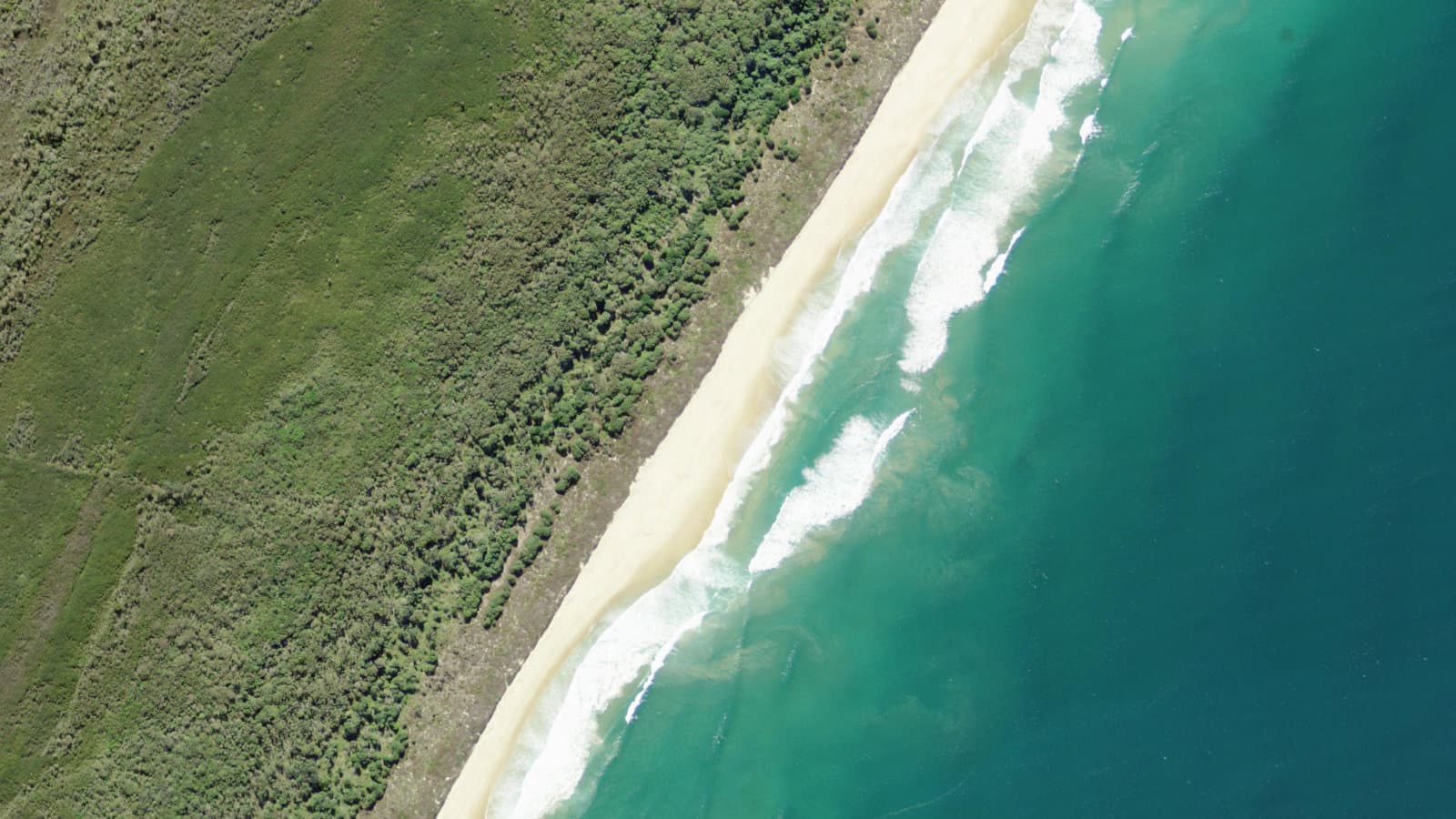 Crowdy Beach, Mid North Coast