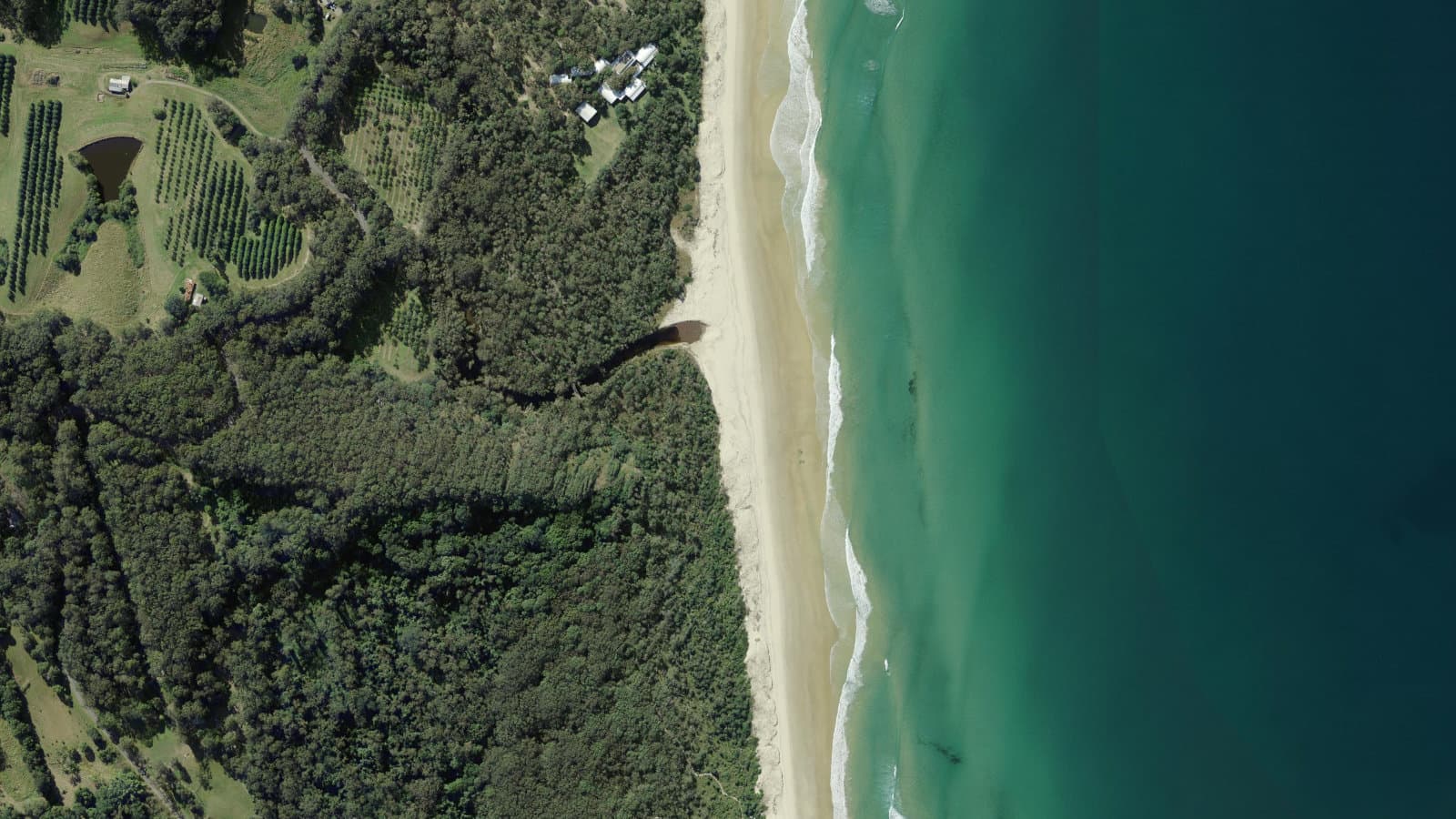 Grassy Beach, Coffs Coast