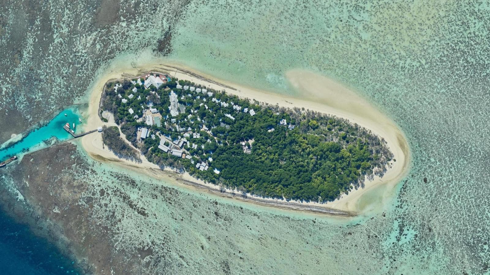 Heron Island, Capricorn Coast