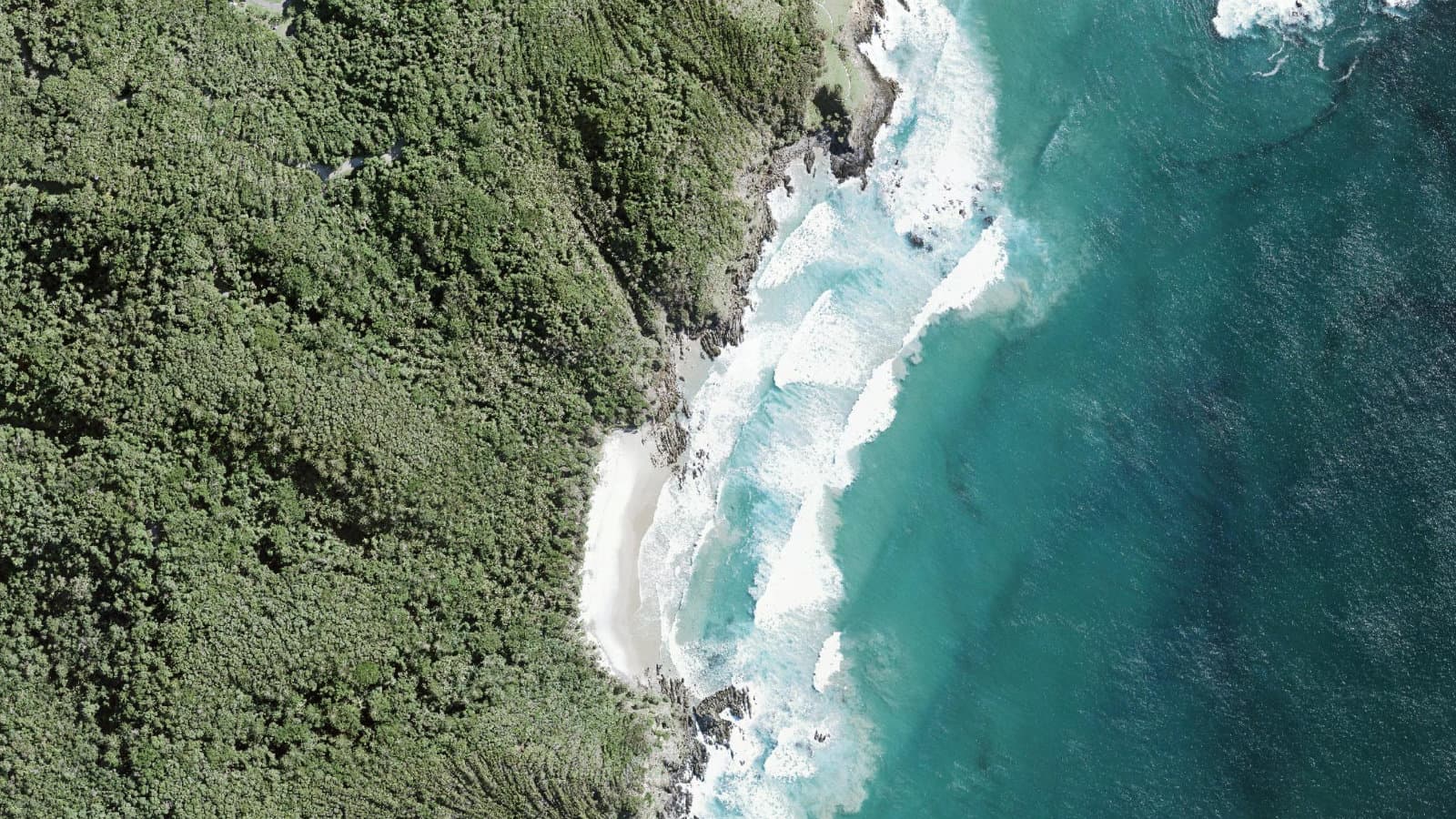Kings Beach (Nude), Northern Rivers
