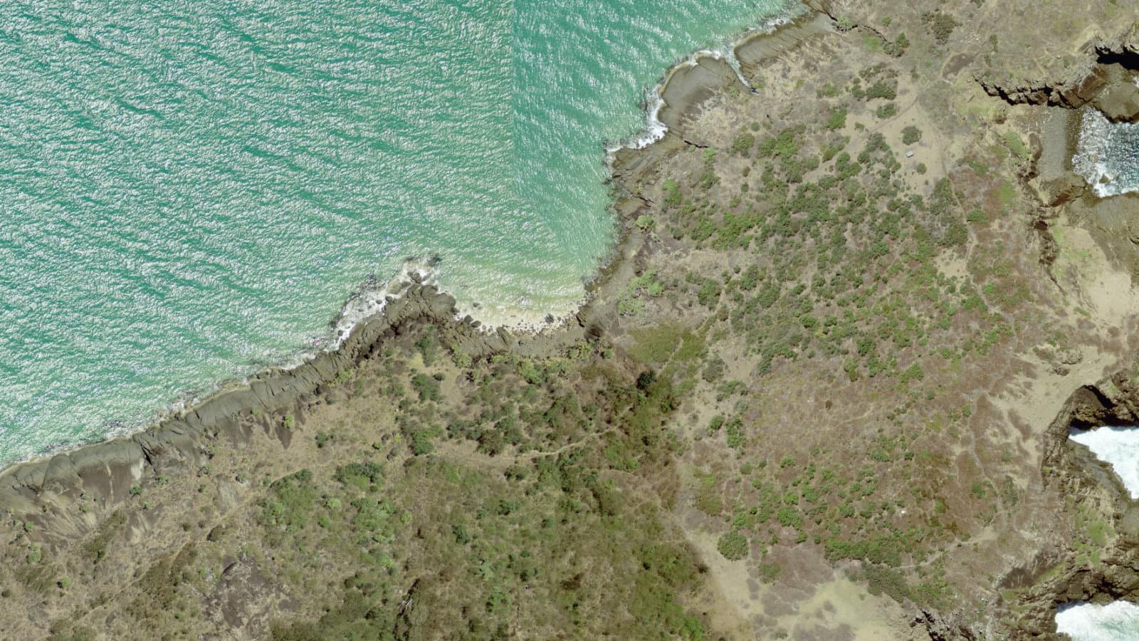 Little, Mid North Coast