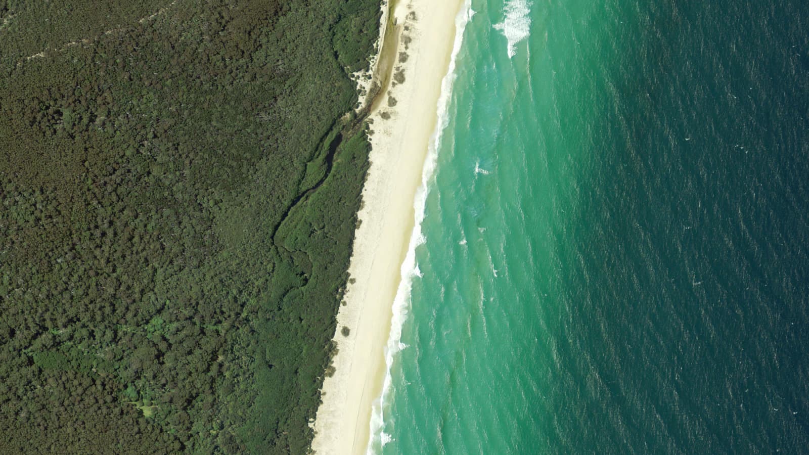 Newtons Beach, Far South Coast / Sapphire Coast