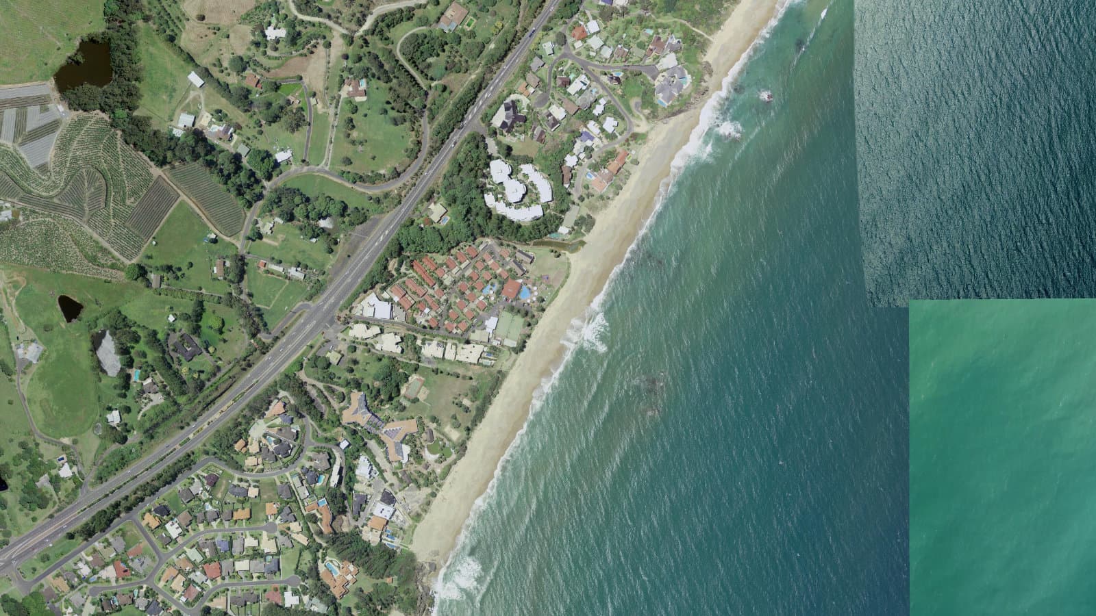 Pelican, Coffs Coast
