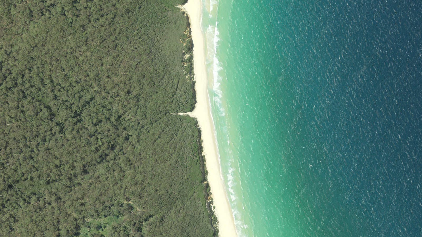 Pinnacles Beach, Far South Coast / Sapphire Coast
