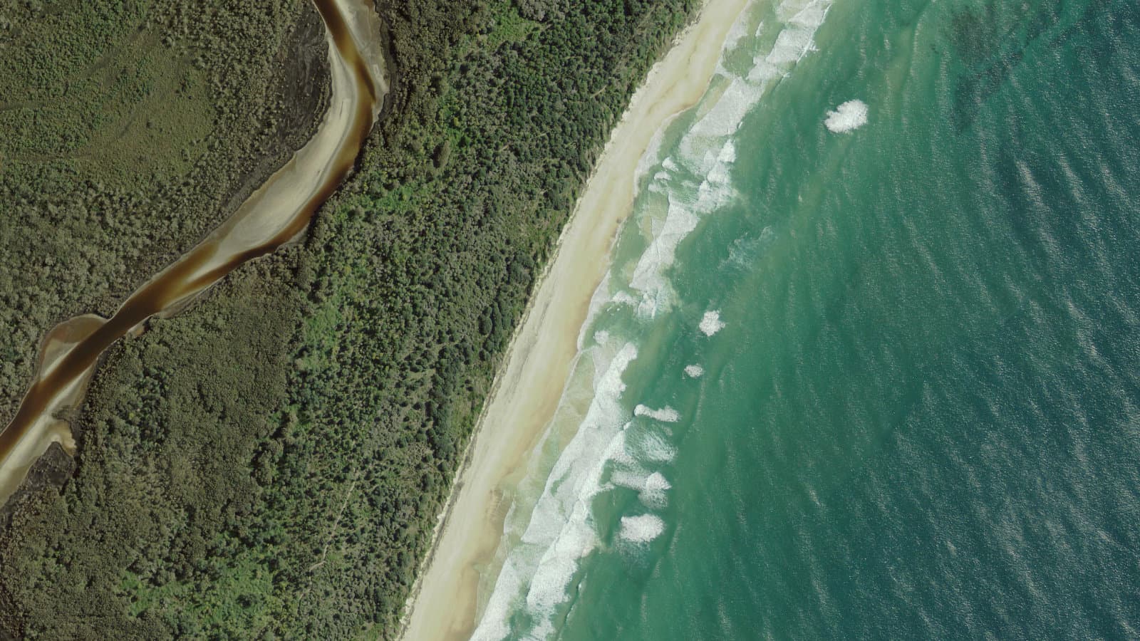 Plumbago Beach, Northern Rivers