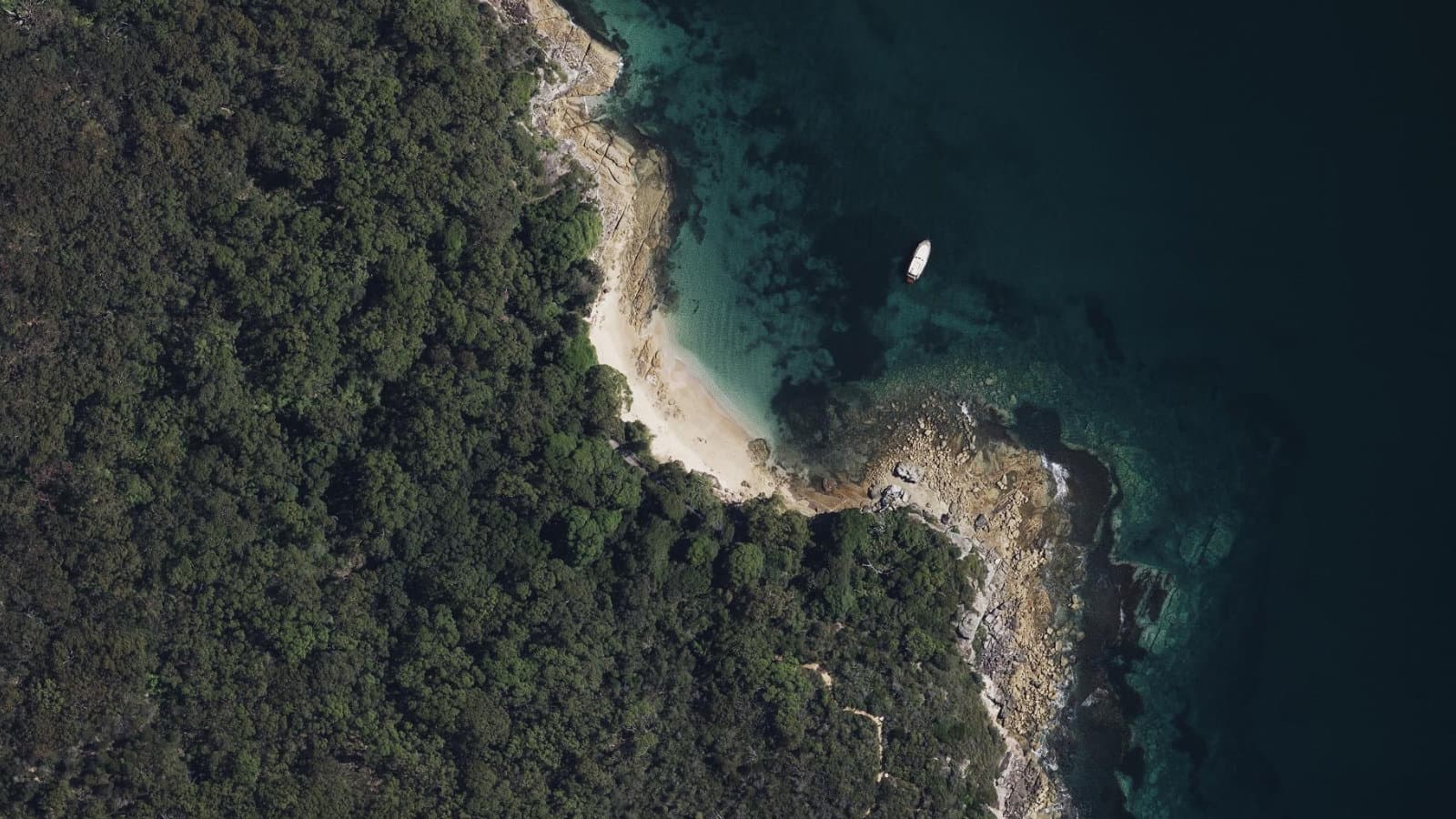 Reef Beach, Sydney
