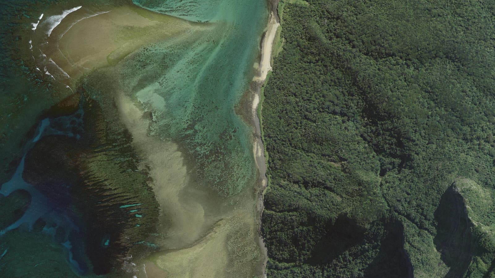 Salmon Beach, Lord Howe Island