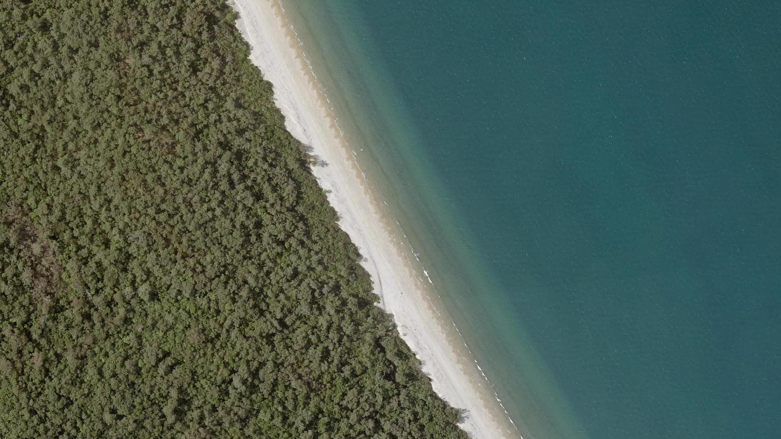 South Shepherd Beach, Cassowary Coast