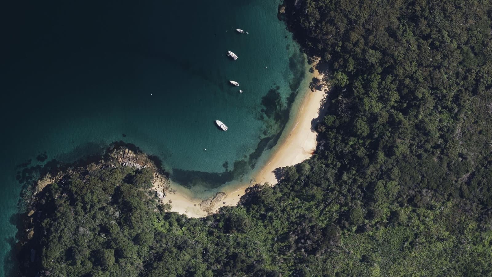 Store Beach, Sydney