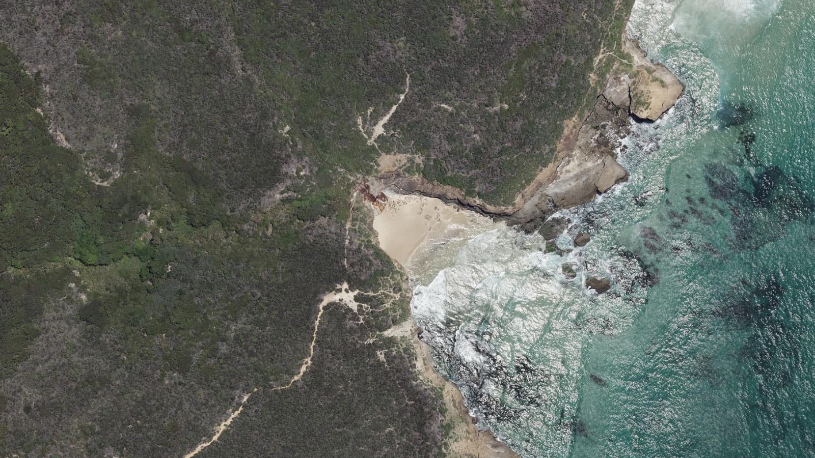 Timber Beach, Central Coast