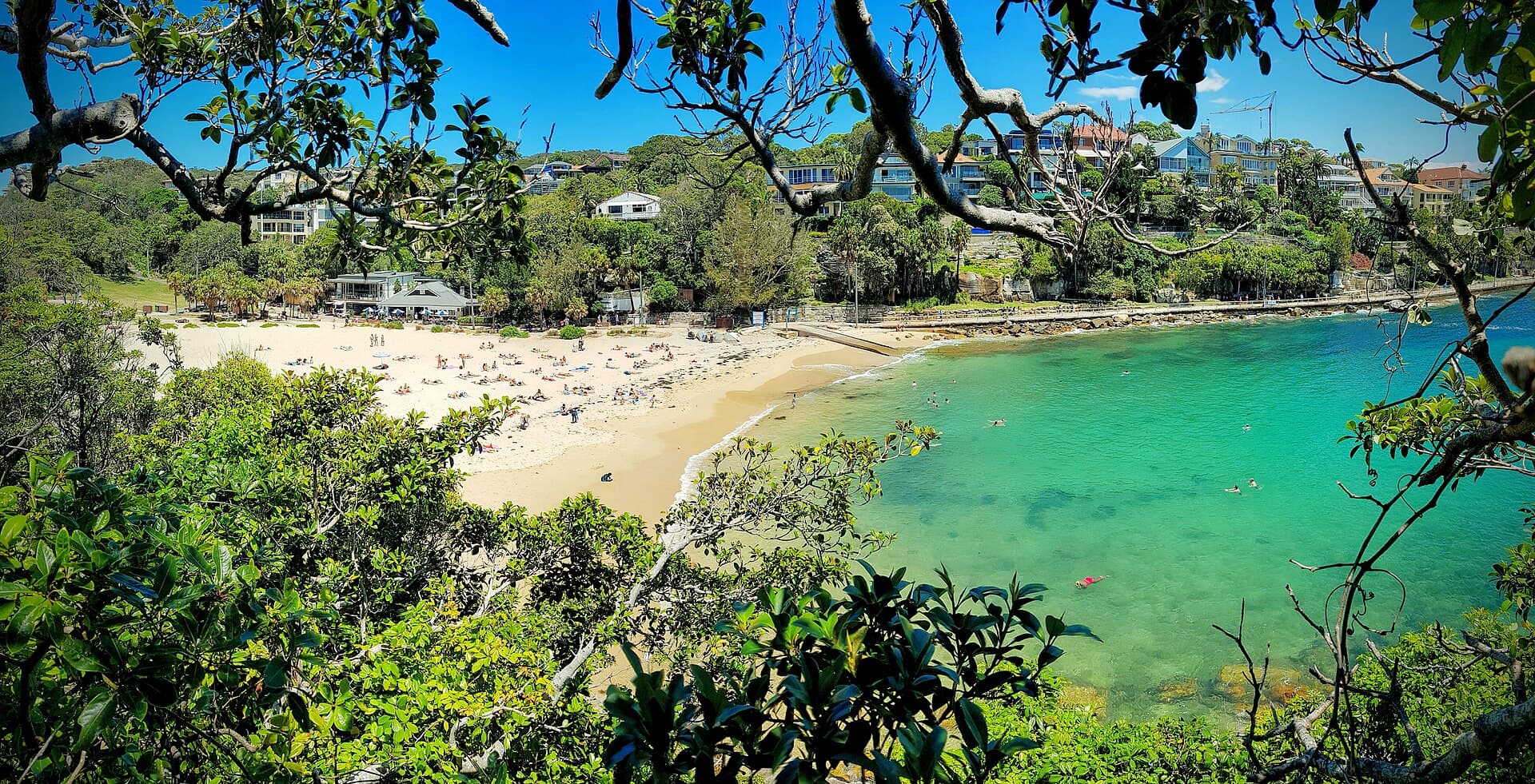 Shelly Beach, Sydney