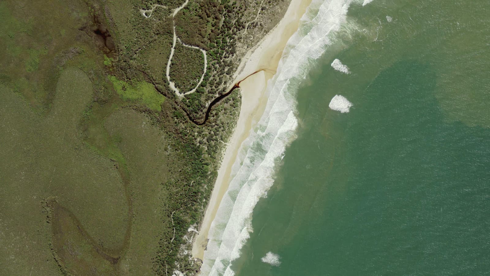 Angourie Back Beach, Northern Rivers