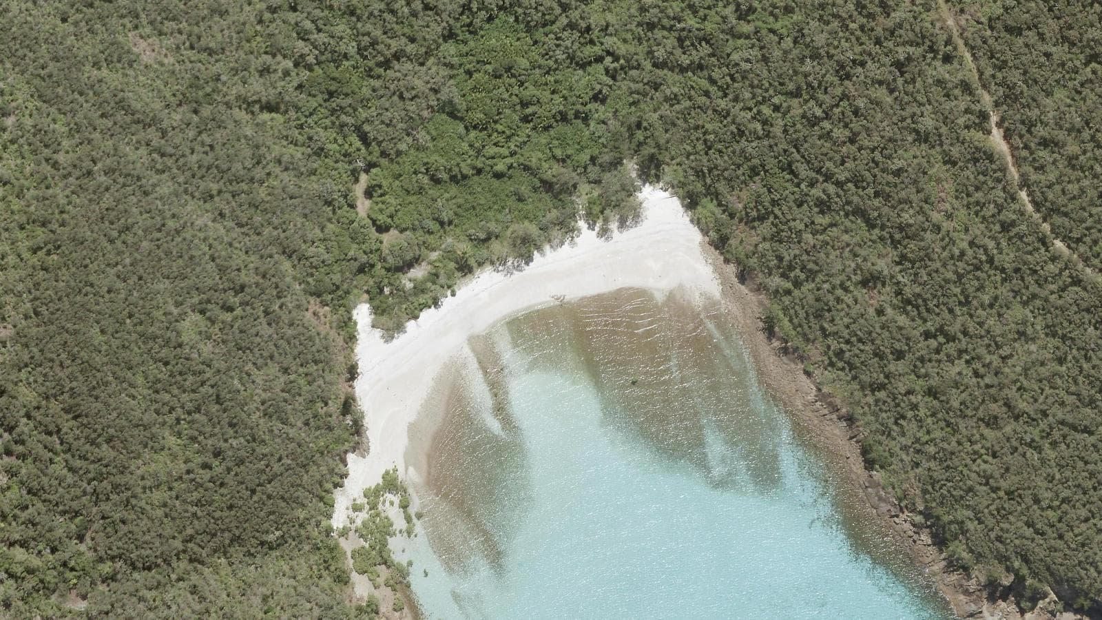 Arthur Bay Beach, Mackay & Whitsundays