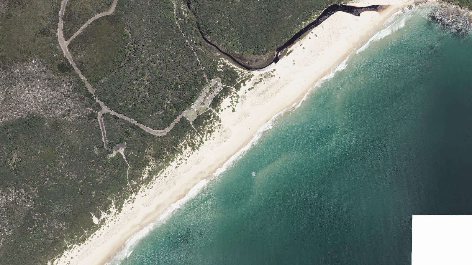 Birdie Beach, Central Coast