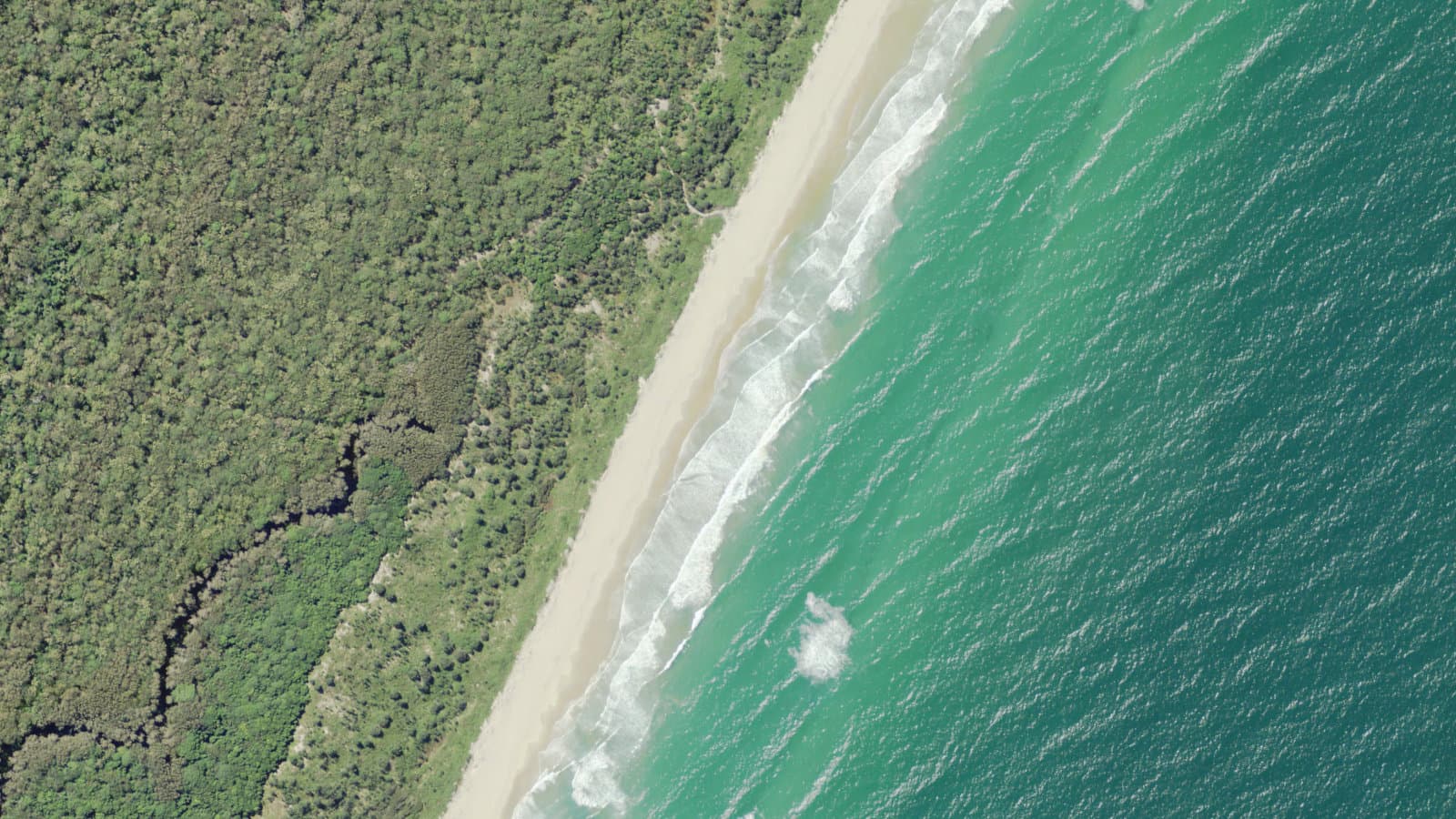 Bonville, Coffs Coast