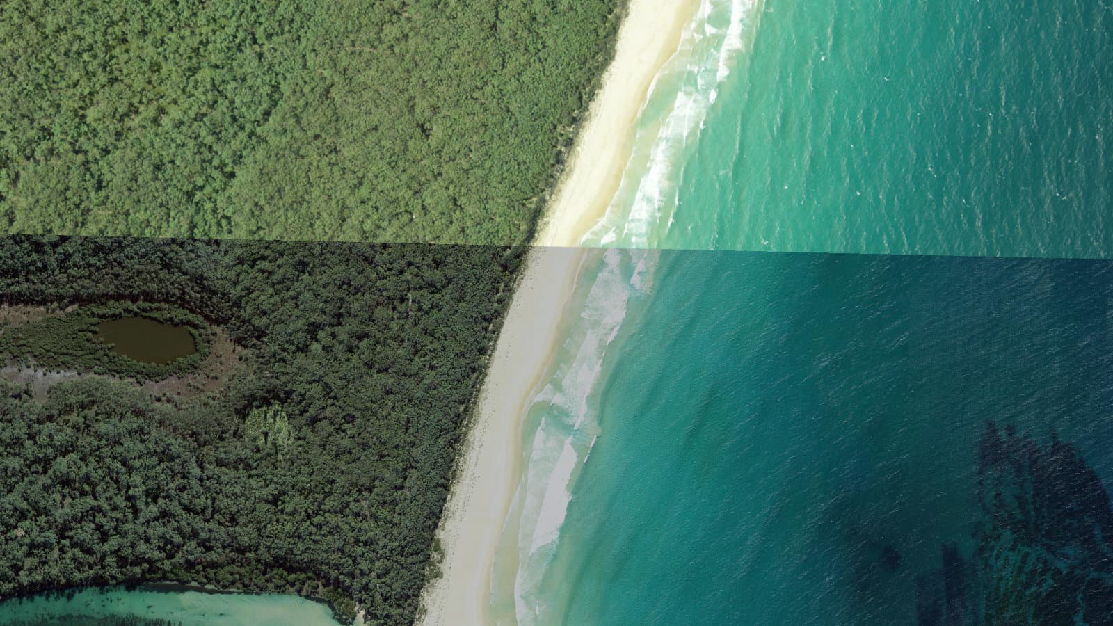 Buckley's Beach, Shoalhaven / Jervis Bay