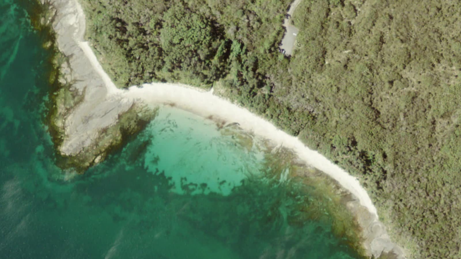 Cabbage Tree Beach, Shoalhaven / Jervis Bay