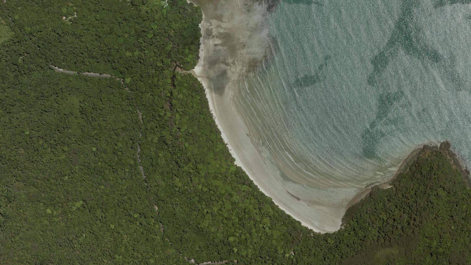 Cape Tribulation Beach, Cairns & Tropical North
