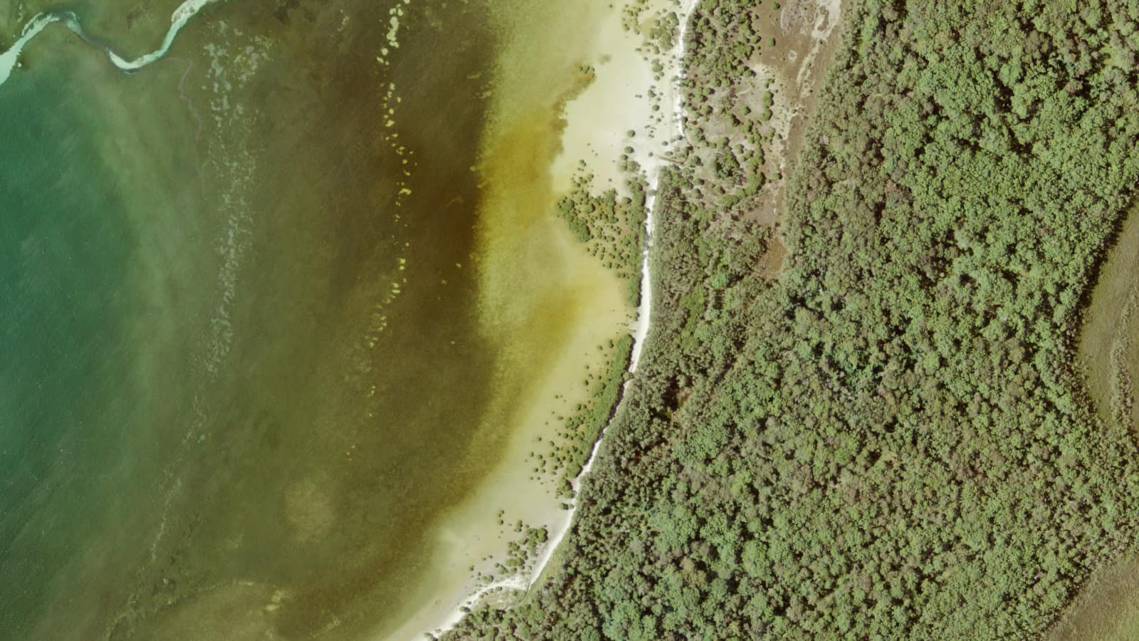 Chinamans Beach, Shoalhaven / Jervis Bay