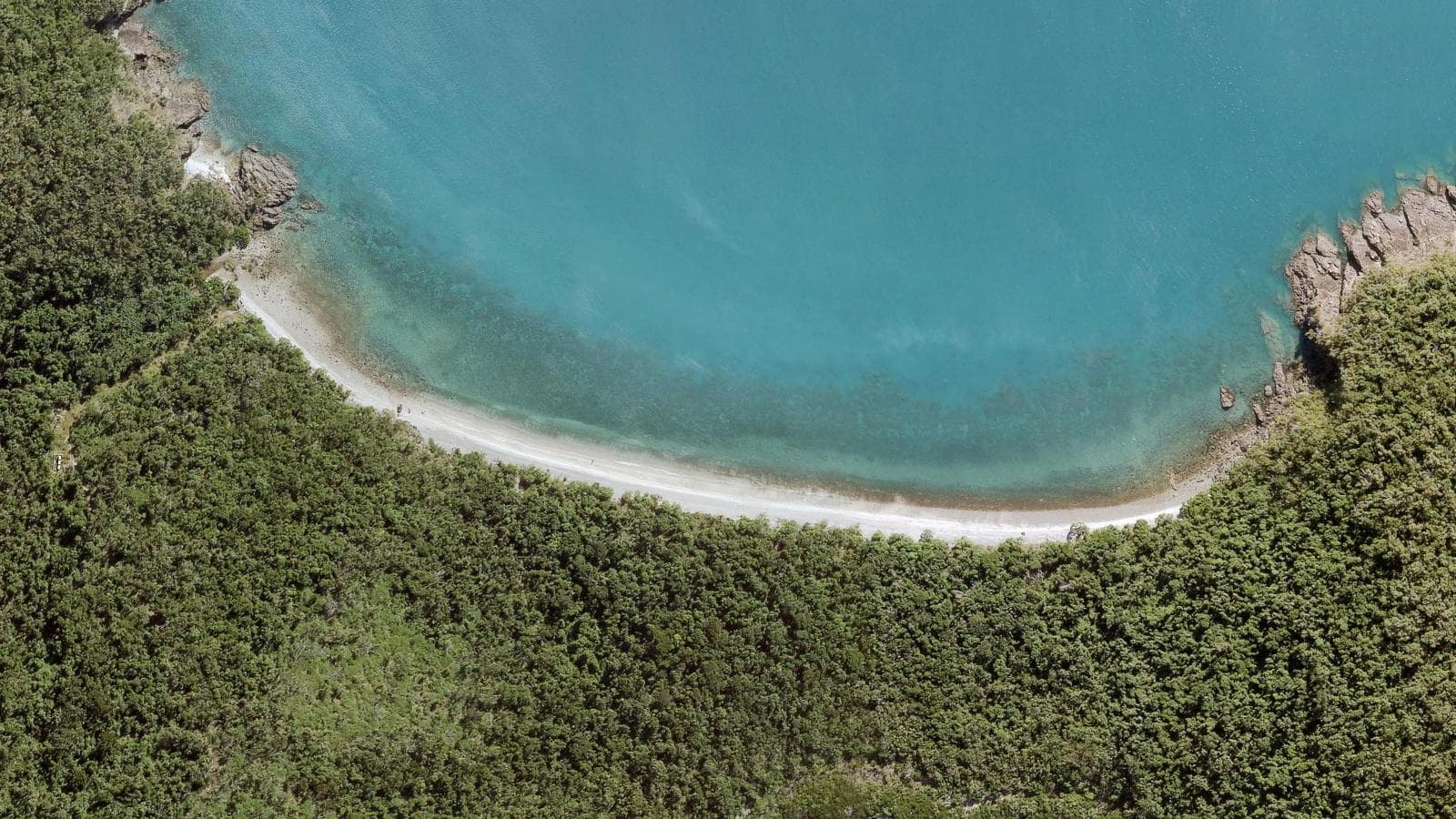 Coral Beach, Mackay & Whitsundays