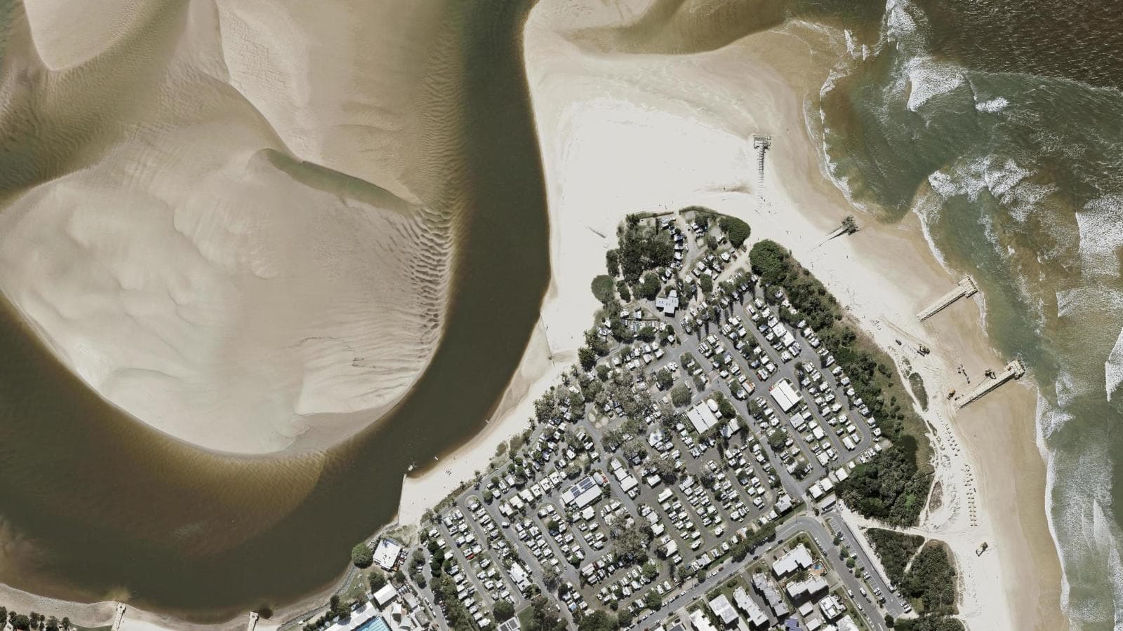 Cotton Tree, Sunshine Coast