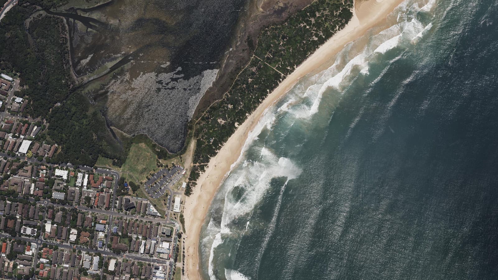 Dee Why Beach, Sydney