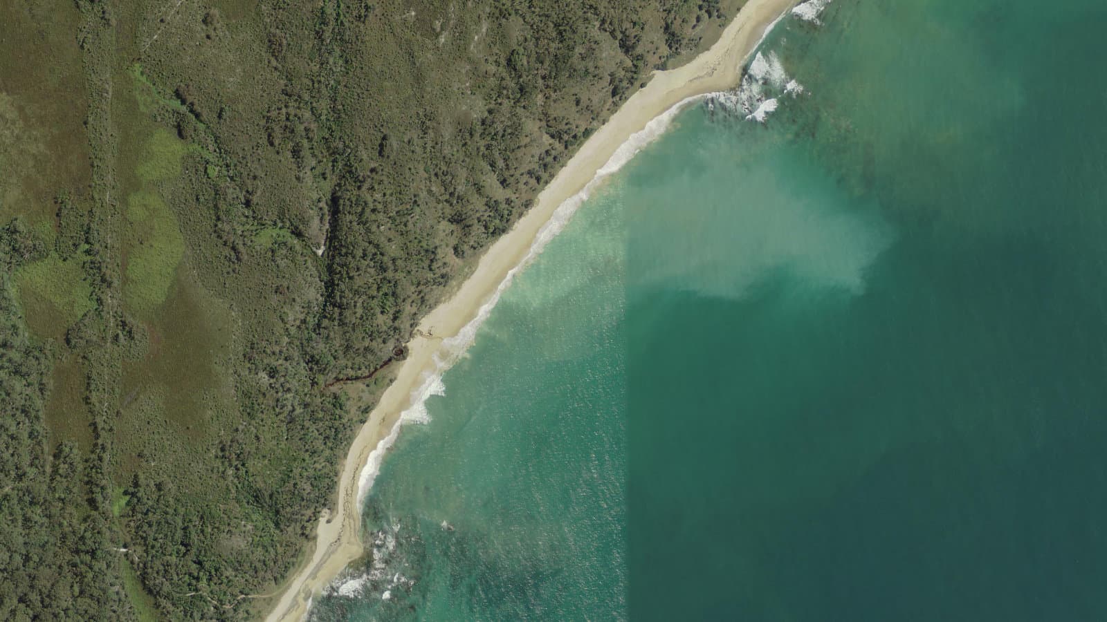 Freshwater Beach, Coffs Coast