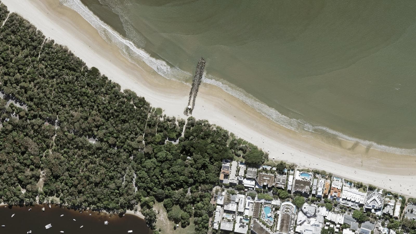Hidden Grove, Sunshine Coast