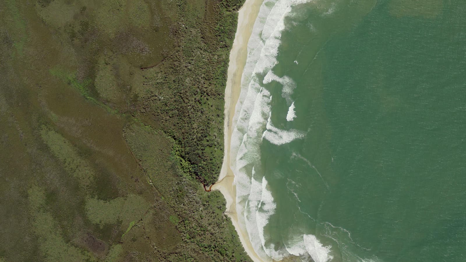 Little Shelley Beach, Northern Rivers
