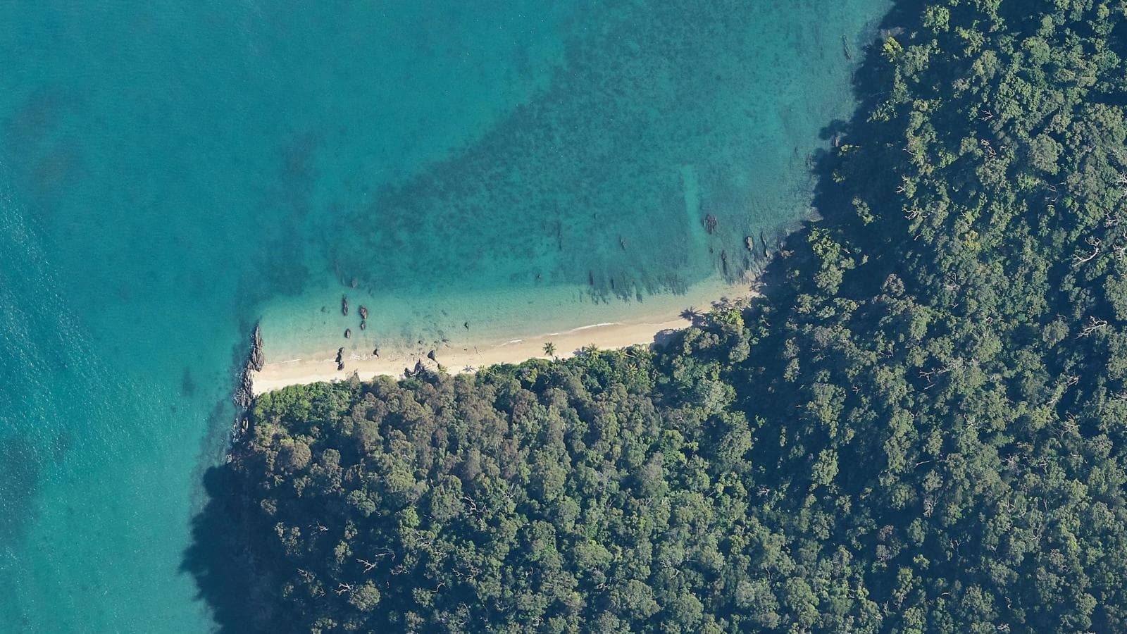 Muggy Muggy Beach, Cassowary Coast