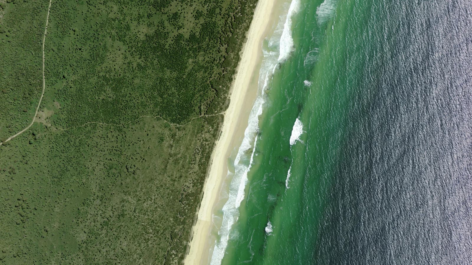 Nine Mile Beach, Mid North Coast