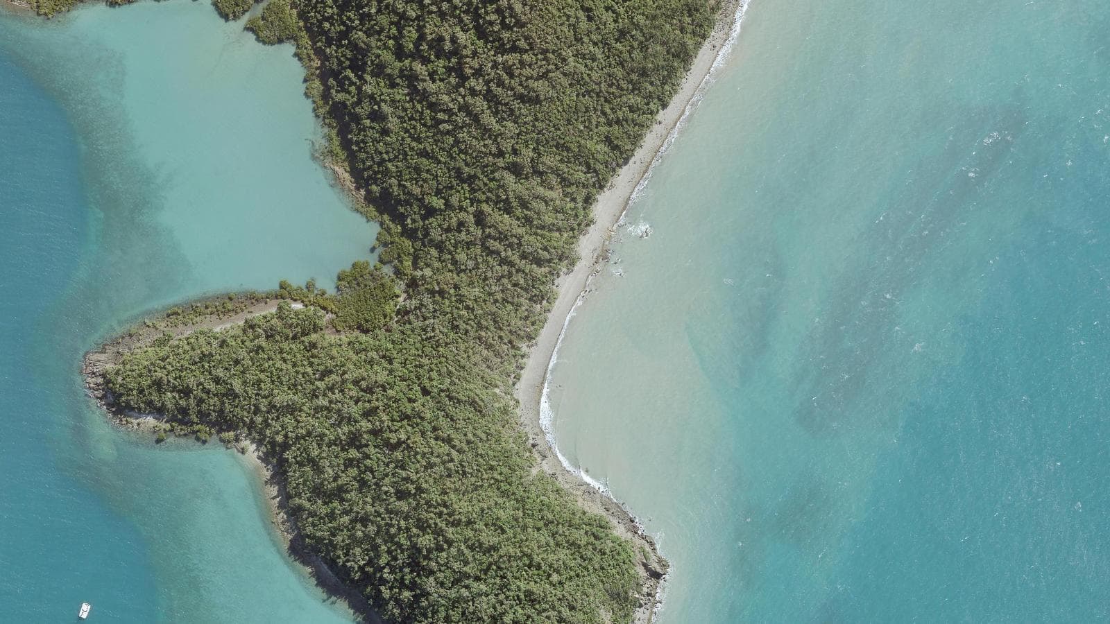 Pandanus Bay, Mackay & Whitsundays