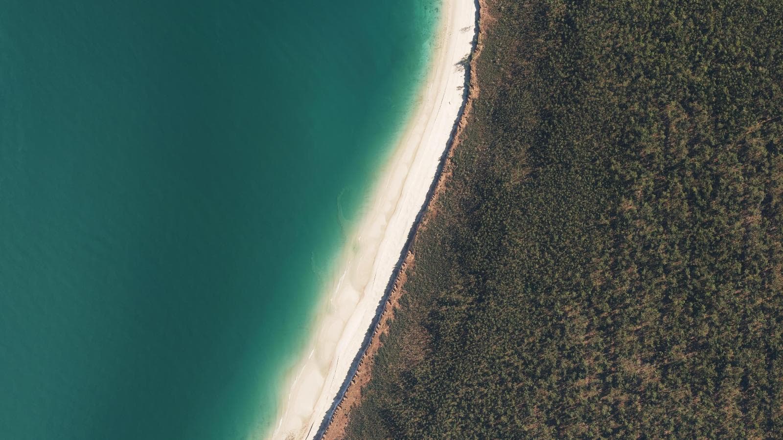 Pear Hd (S 1), Cape York & Torres Strait