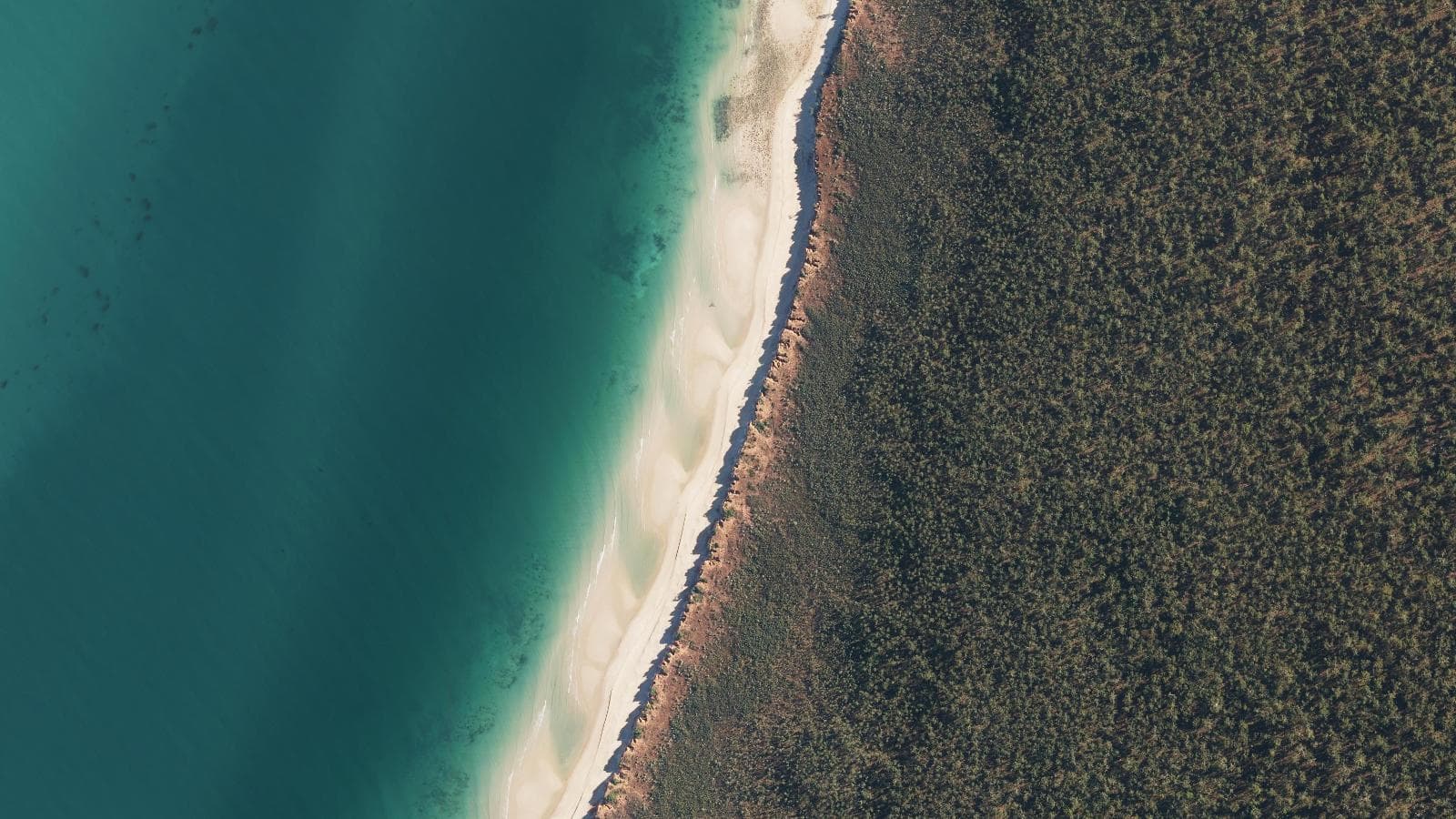 Pear Hd (S 2), Cape York & Torres Strait