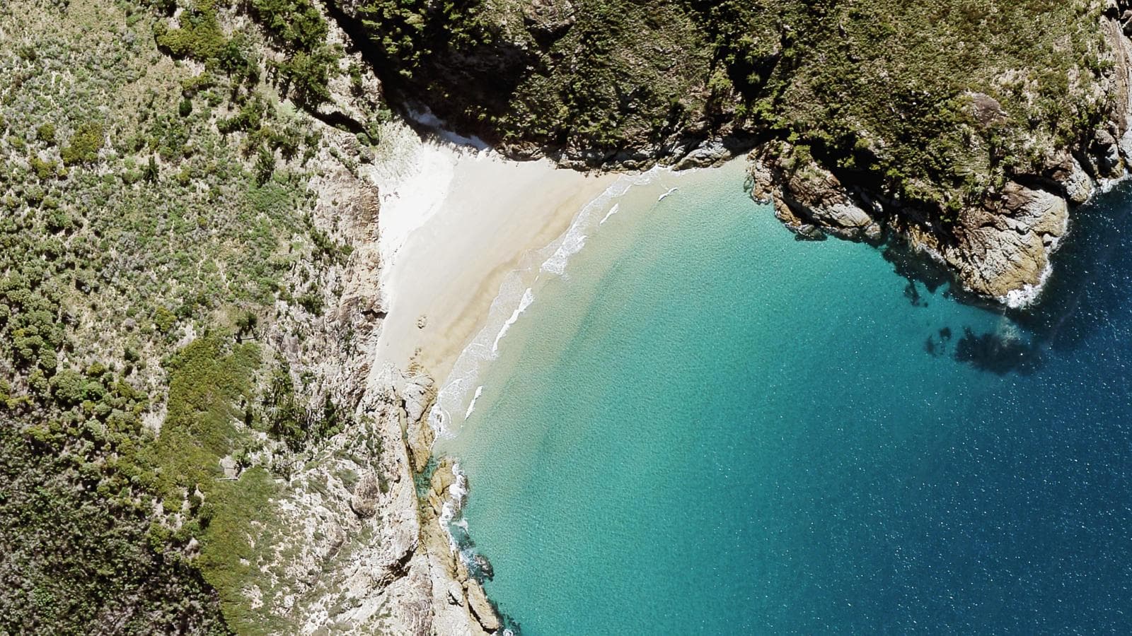 Perforated Point (North), Capricorn Coast