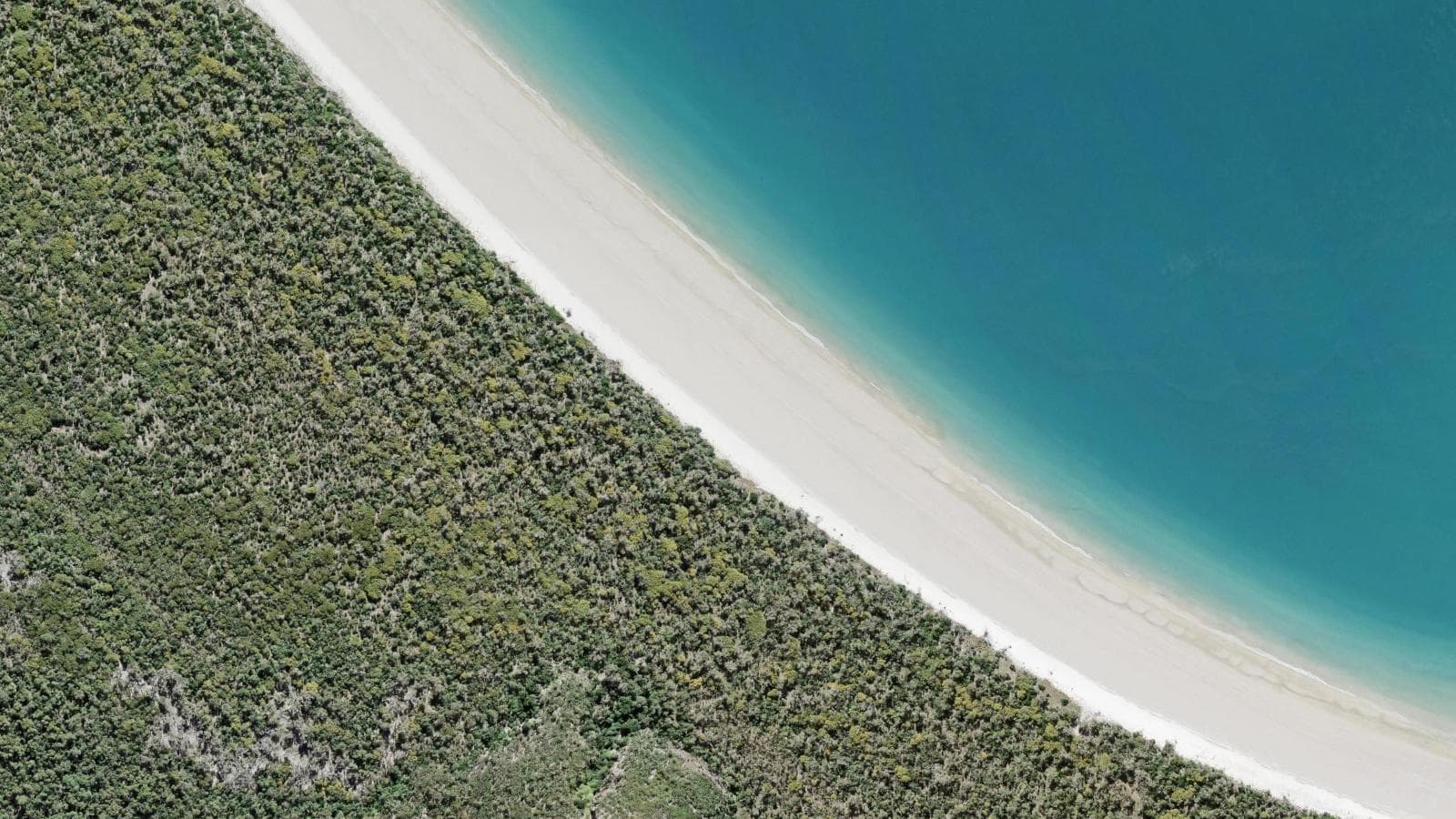 Pinetrees Point, Capricorn Coast