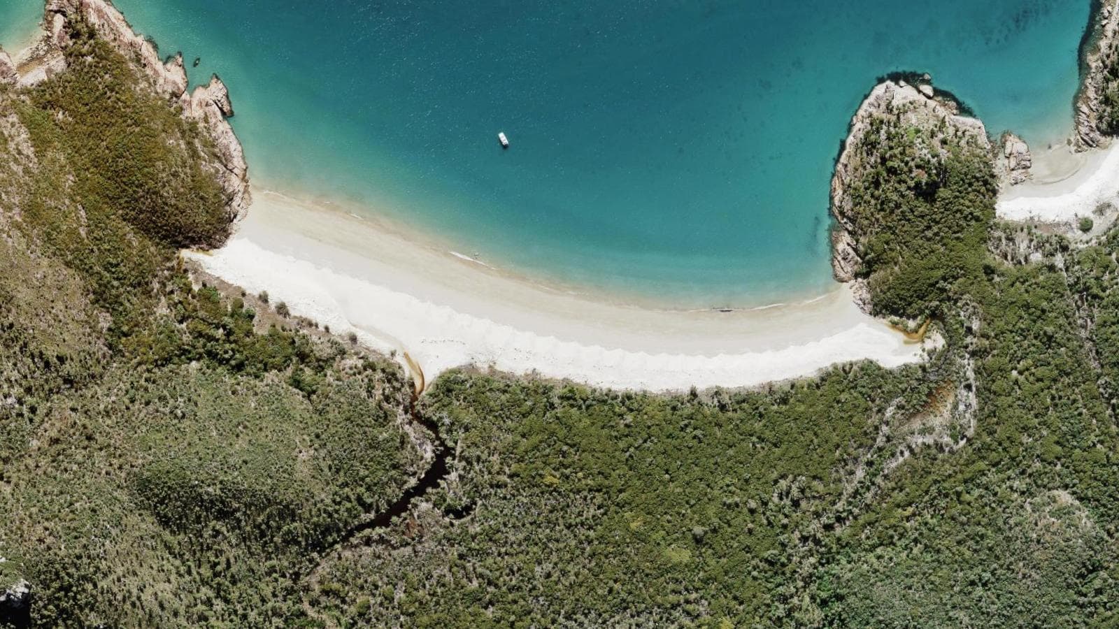 Pinetrees (West), Capricorn Coast