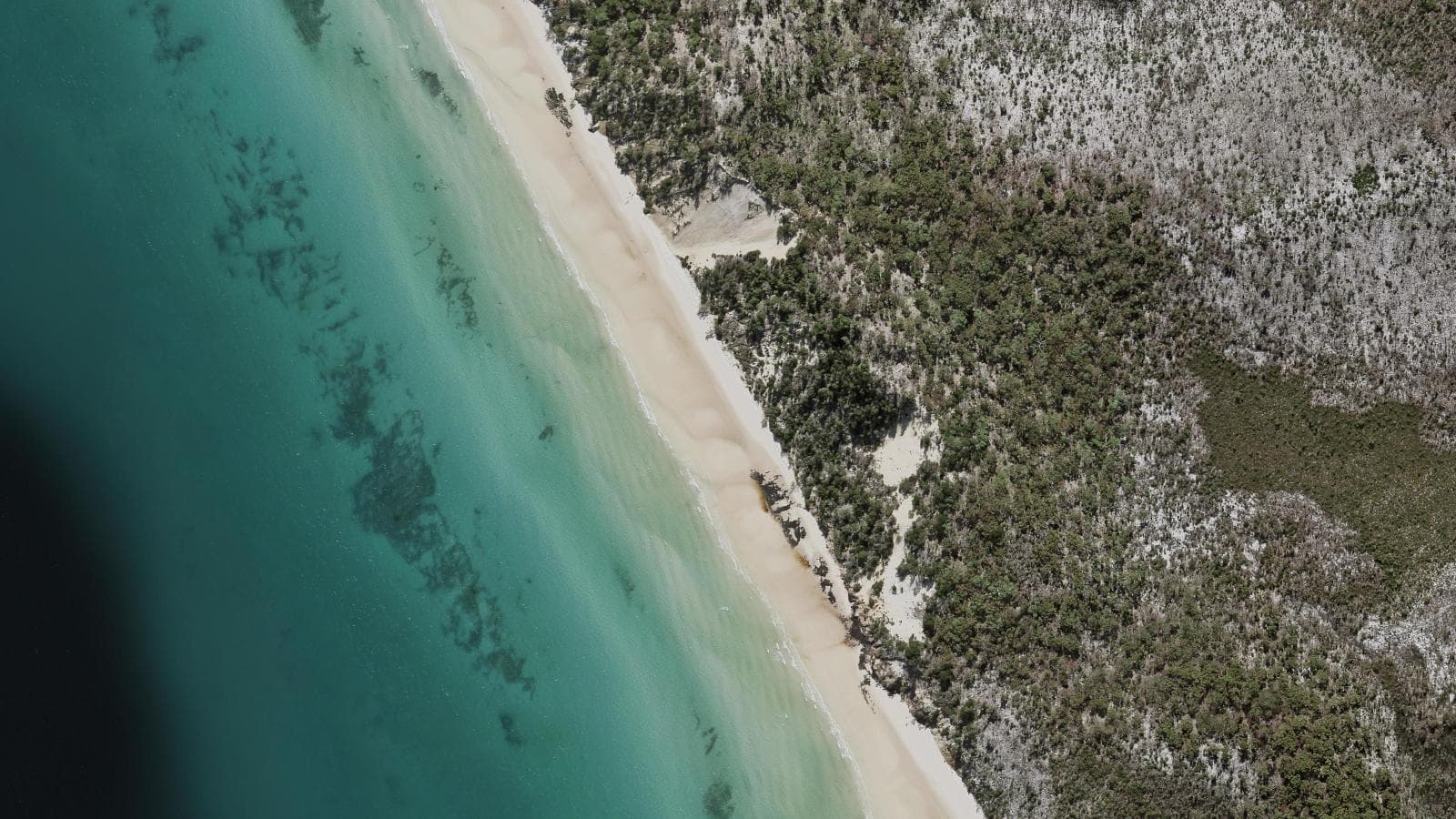 Platypus Bay, Fraser Coast & K'gari