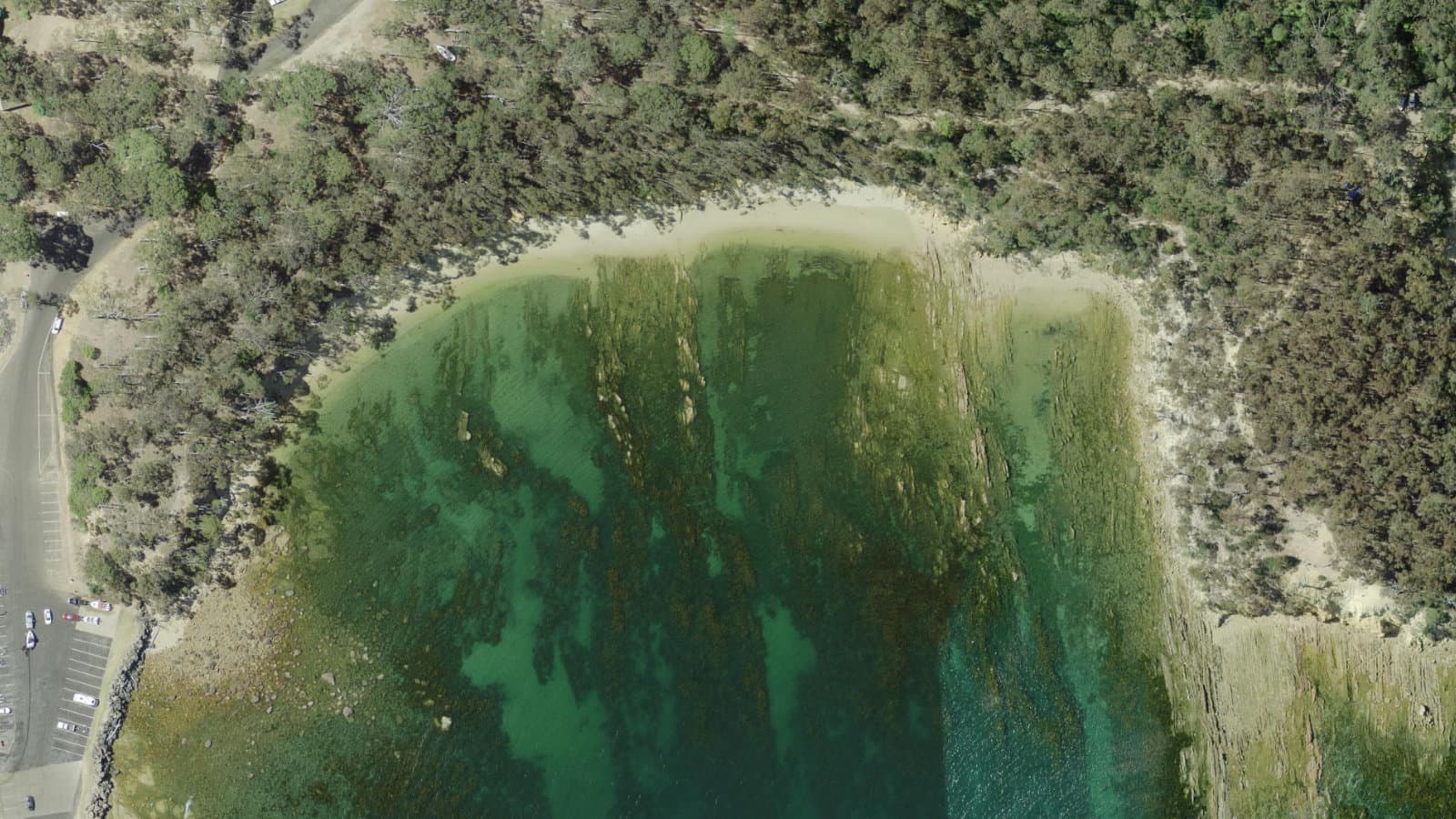 Rixons, Far South Coast / Sapphire Coast