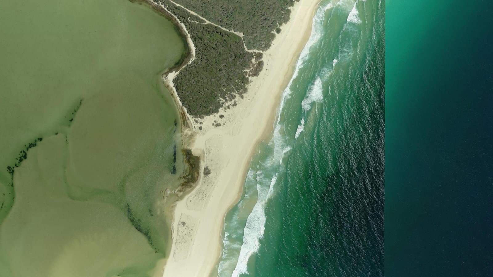 Sandbar Beach, Mid North Coast