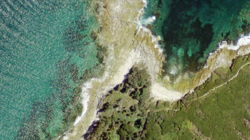 Shell Beach, Shoalhaven / Jervis Bay