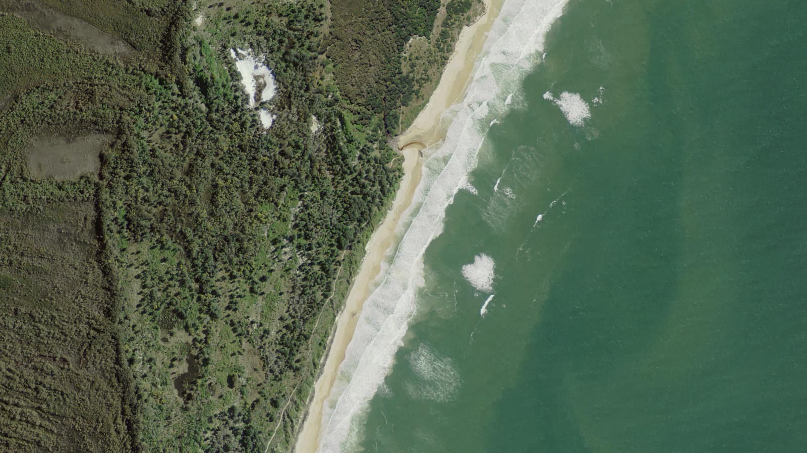 Shelley Beach, Northern Rivers
