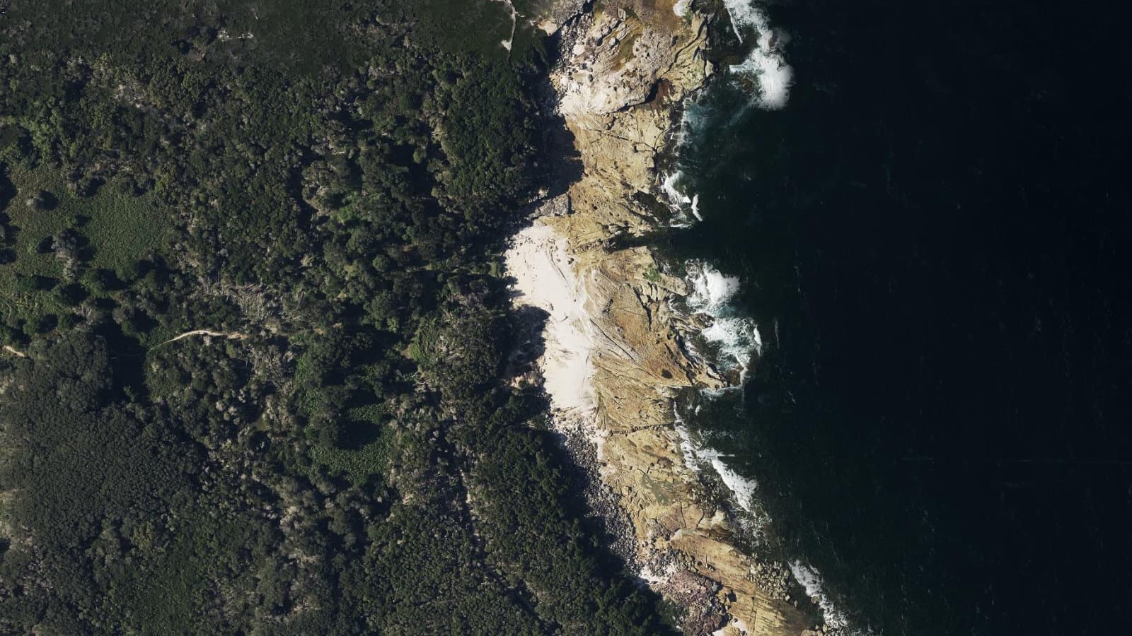 Shelley Beach, Sydney