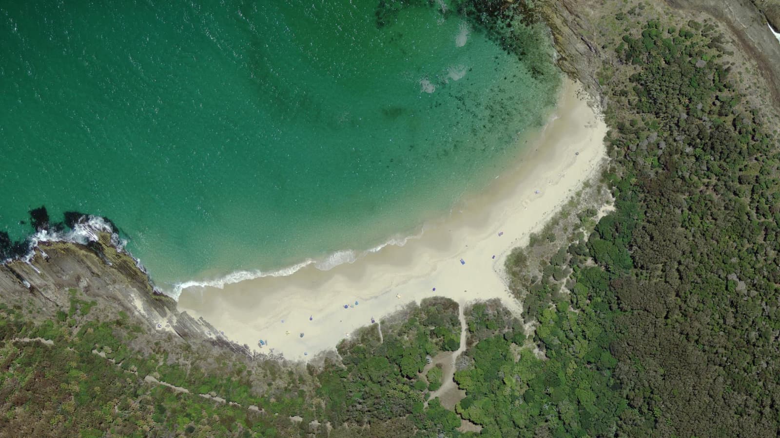 Shelly Beach, Mid North Coast