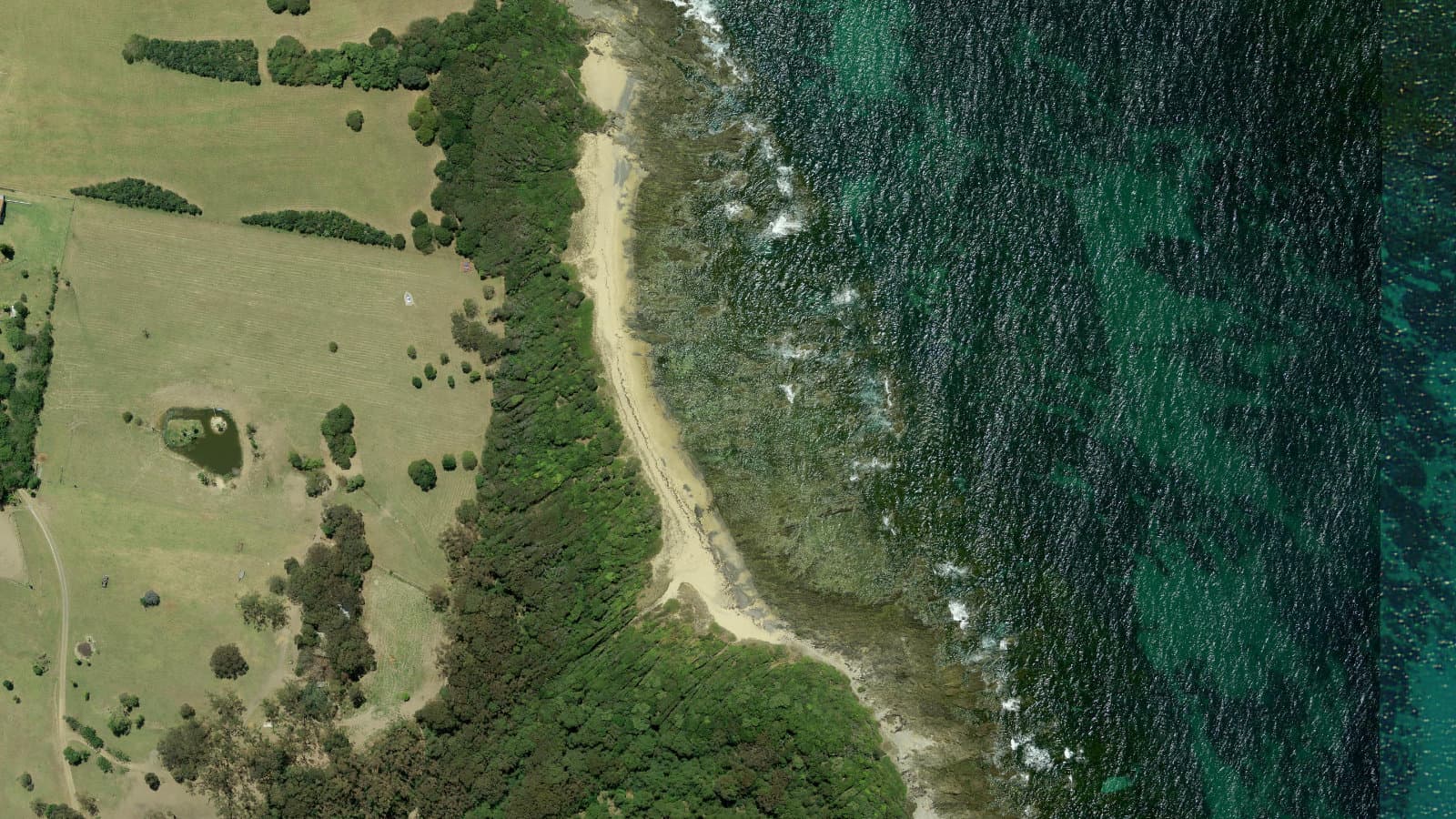 Shelly Beach, Mid North Coast