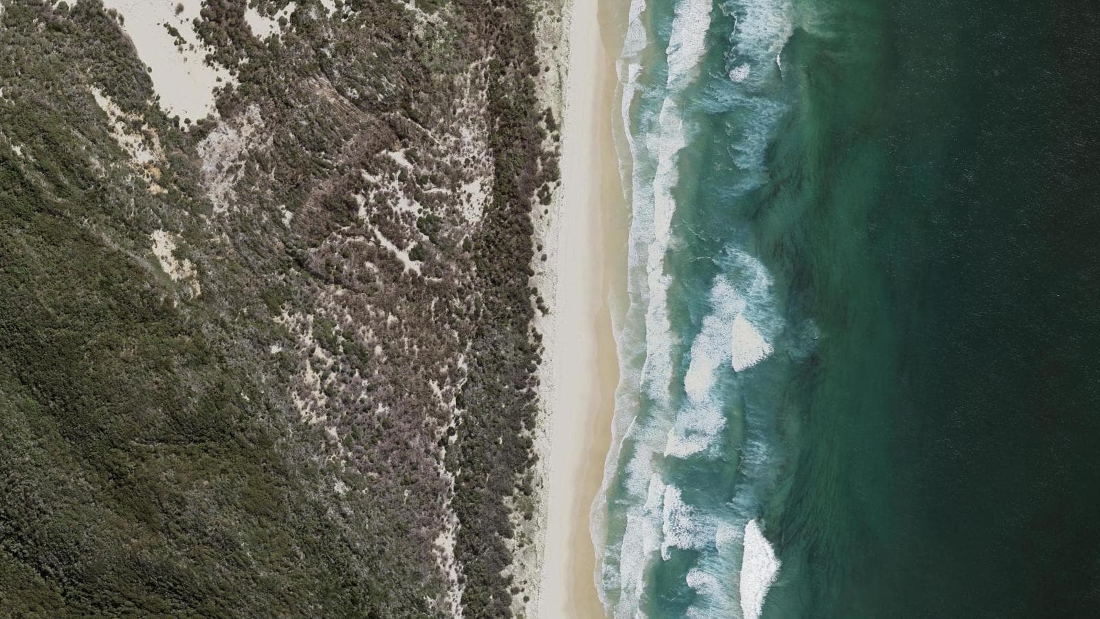 South Waddy Beach, Fraser Coast & K'gari