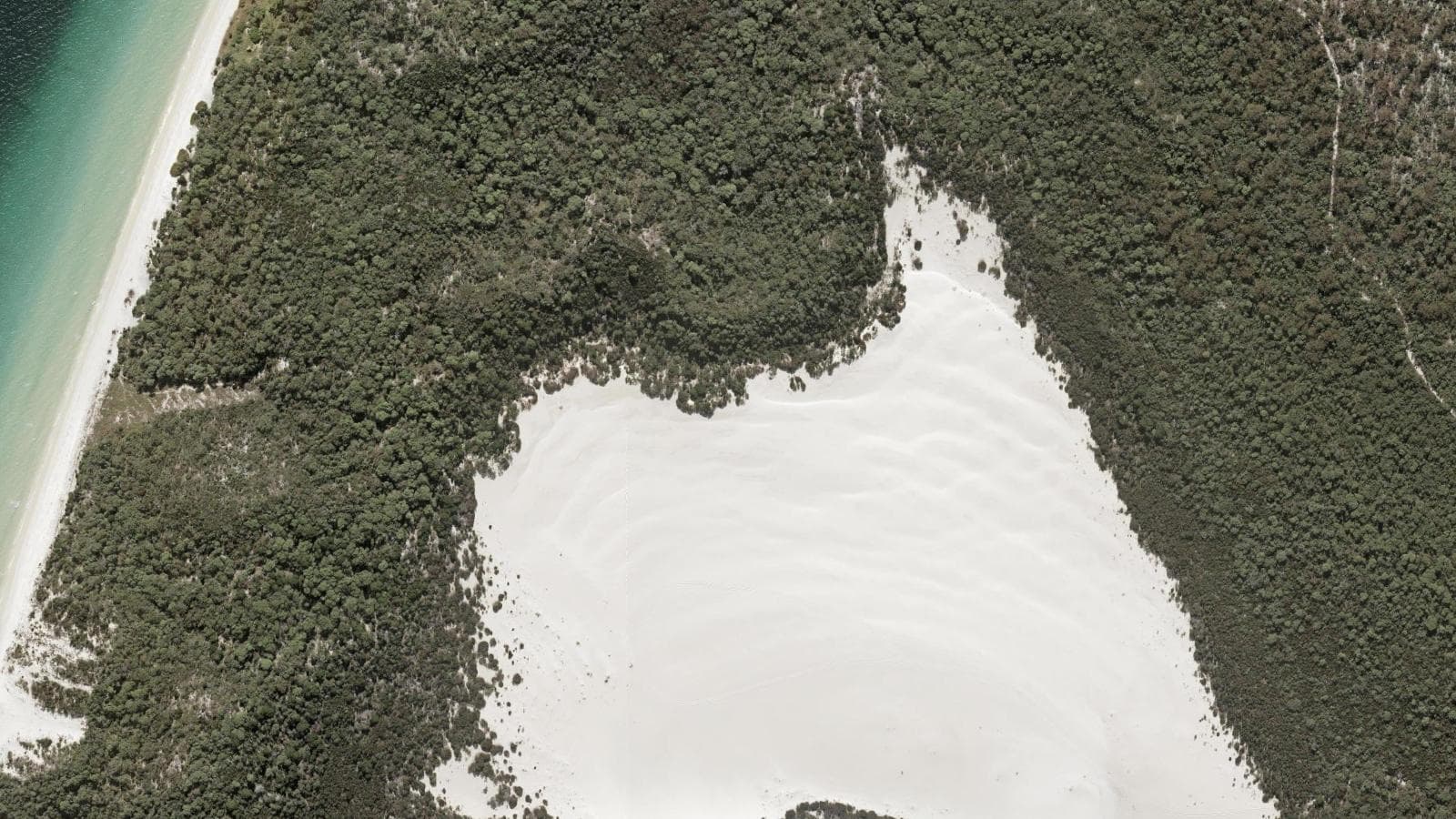 The Desert, Brisbane & Moreton Bay