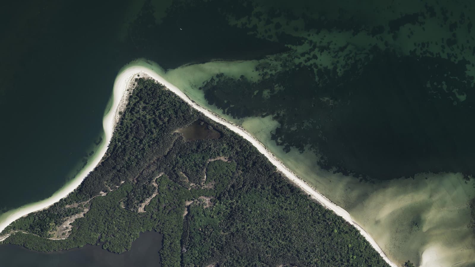 Towra Spit Beach, Sydney